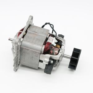 9545 AC Motor Universal Għal dawk li jfasslu s-silġ